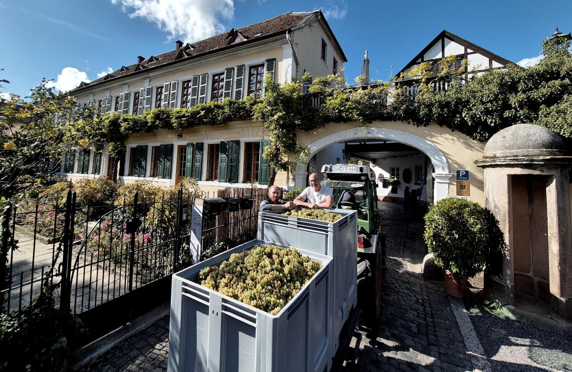 Unterkunft Im Weingut Fitz-Ritter Bad Dürkheim Kültér fotó